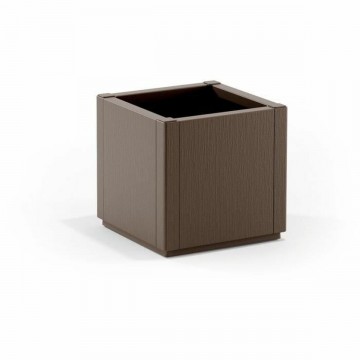 Scatole e organiser per semi